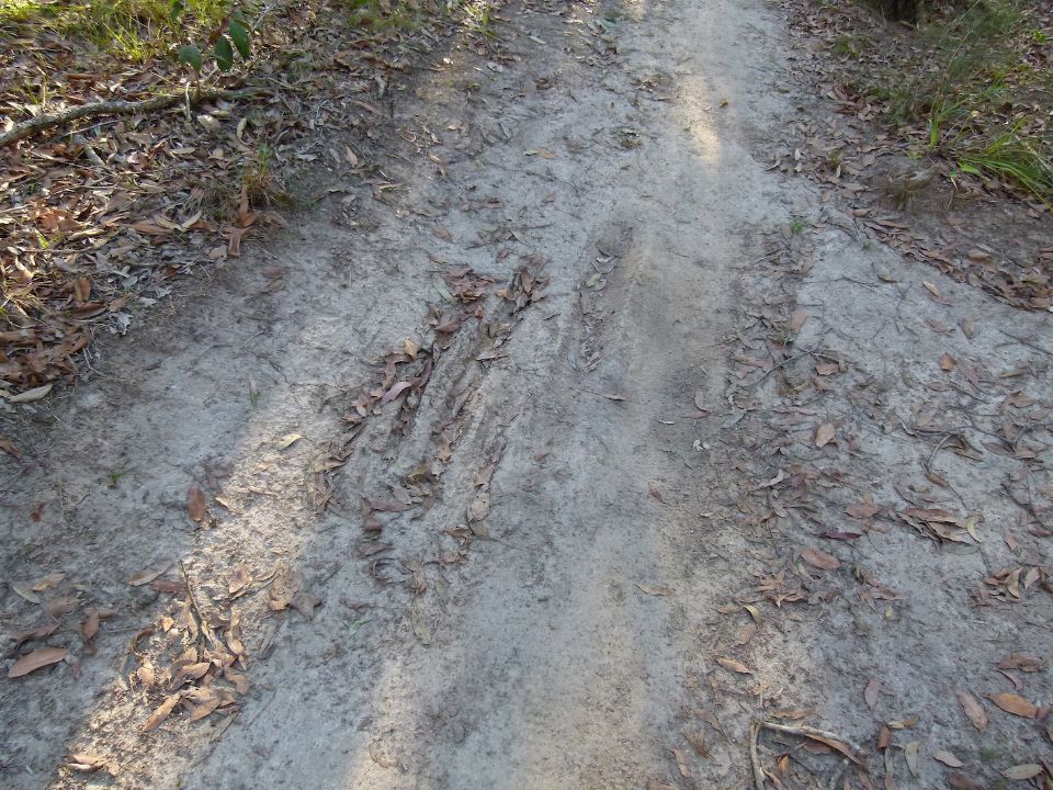 P1140886.jpg